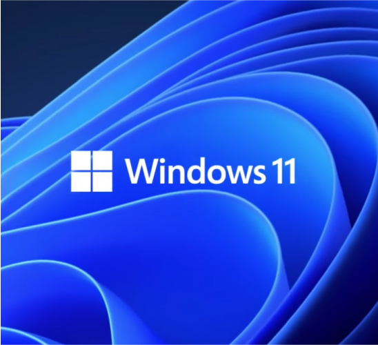 PUBSEC-519054 Newsletter_images_Windows 11.jpg